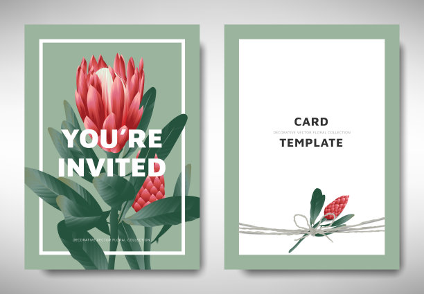 问候/邀请卡模板设计，红色的protea花和叶子在绿色的背景，有机/自然的主题图片下载