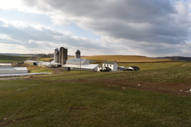 冬天的农场图片下载