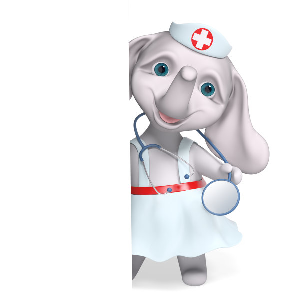 卡通护士大象人物背后海报，手持听诊器3d渲染图片下载