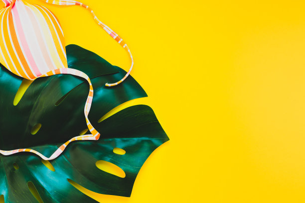 暑假创意平铺理念图片下载