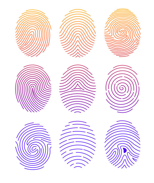 矢量插图设置不同的形状指纹与颜色梯度线风格在白色背景。图片下载