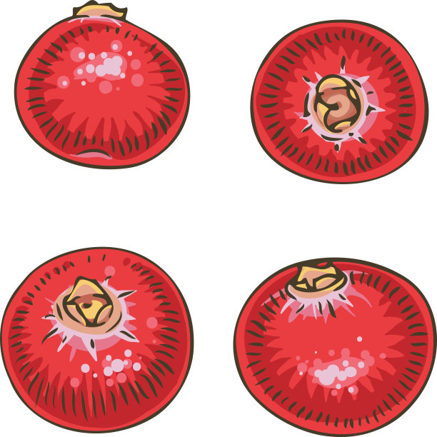 蔓越莓孤立在白色图片下载