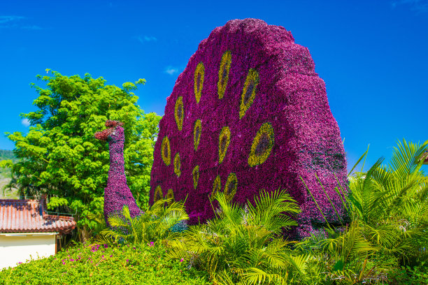 南山佛教中心，景色优美，有一张孔雀形的床。这个公园是五星级的。图片下载