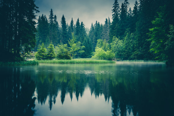 在森林湖泊中树木的倒影和雾，斯洛伐克图片下载