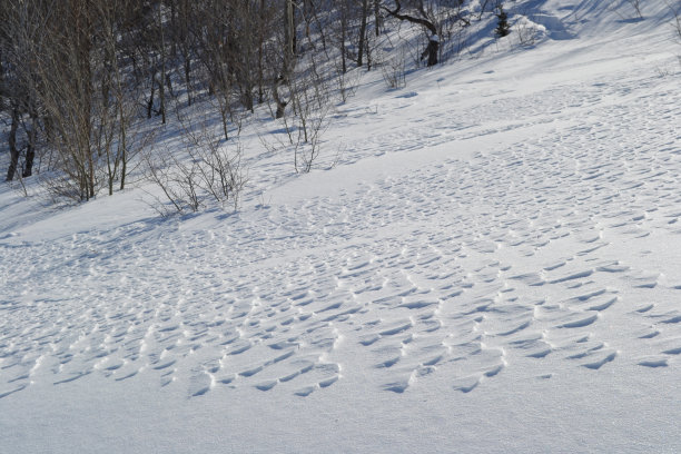 被风吹的平原2图片下载