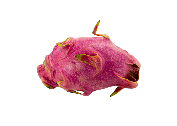 椭圆形水果毕达吉亚异国情调的甜点泰国越南多汁的清淡午餐图片下载