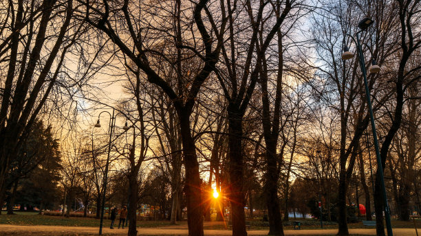 公园里的日落图片下载