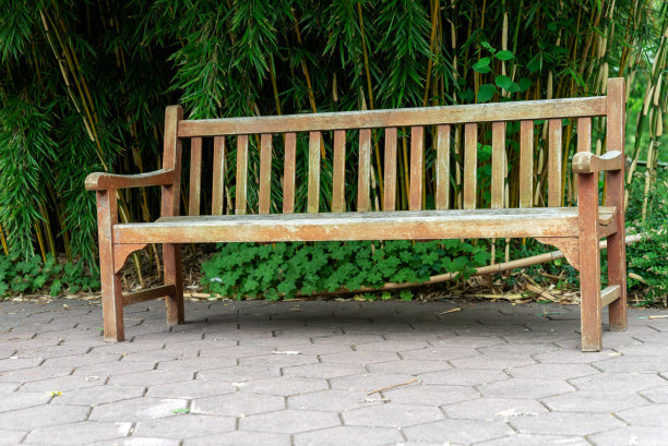 竹公园里的木凳图片下载