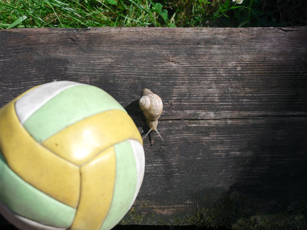 球和培训图片下载