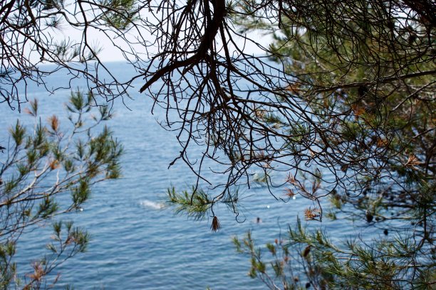 维拉诺图片下载