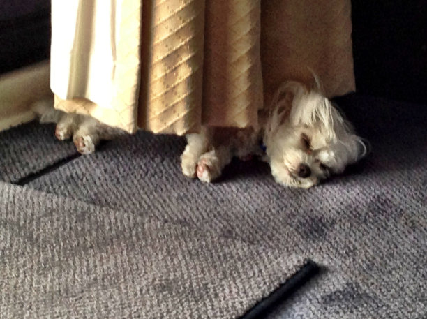 捉迷藏图片下载