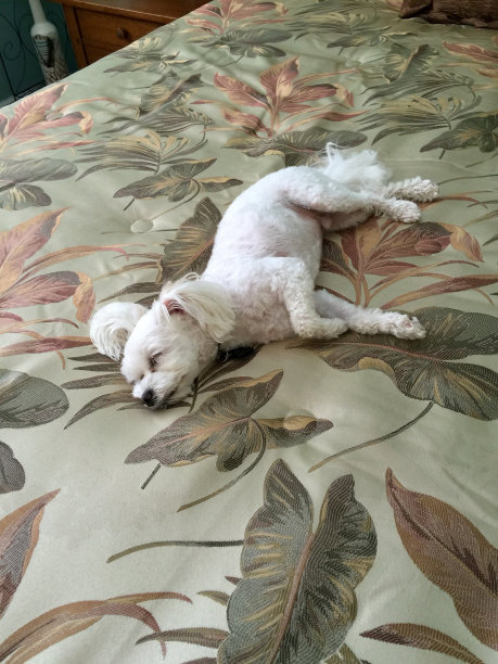 很舒服，但是…图片下载