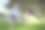 在夏天的公园里骑自行车的人。图片下载