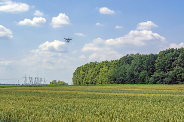 无人机在一个晴朗的日子里对抗着天空和麦田上空的云图片下载