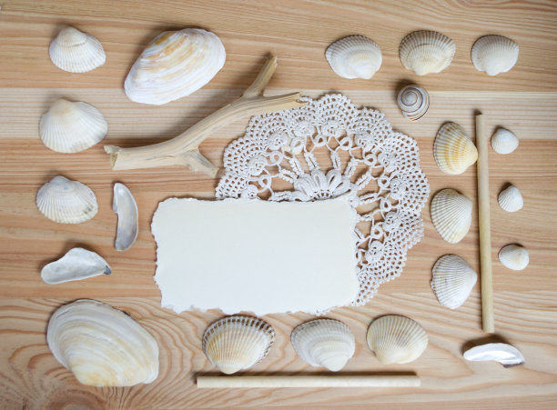贝壳框架在木制背景与地方的文字。图片下载