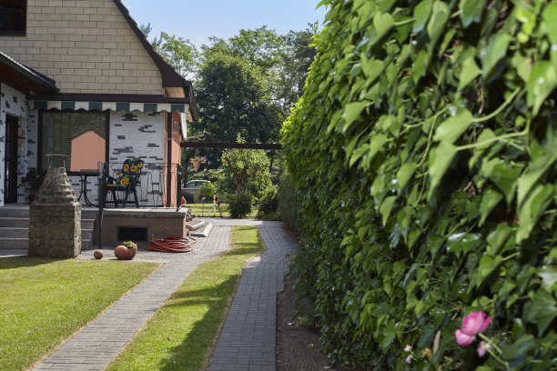 后院景观和房子图片下载