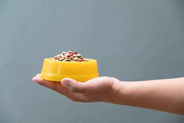 手里拿着一个装着狗粮的塑料碗，背景是灰色的图片下载