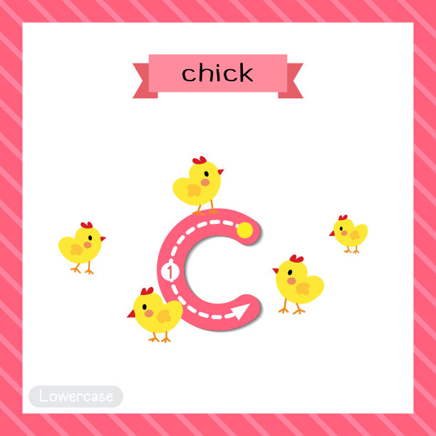 字母C小写跟踪。小鸡图片下载
