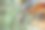 植物图片素材ID：320429034