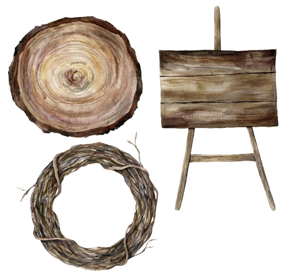 水彩木纹标志，横截面有一棵树和树枝花环。婚礼配件孤立在白色背景。天然花卉图案，印花，织物或背景。图片下载