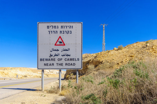 警告信号，当心骆驼图片下载