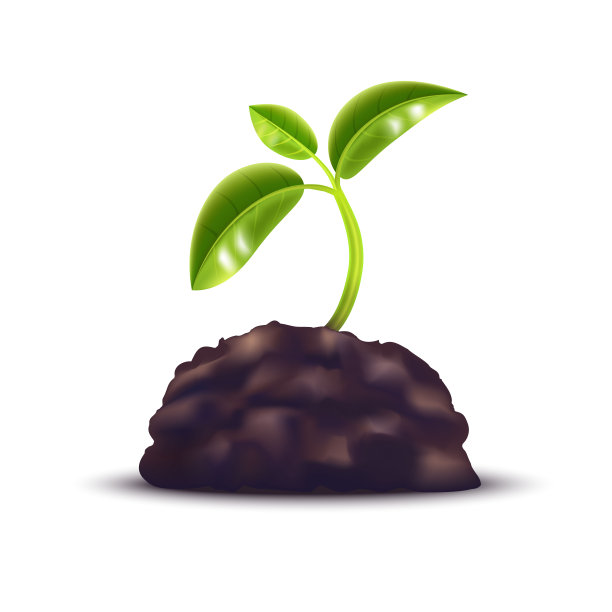 逼真的3D绿色植物矢量素材图片下载