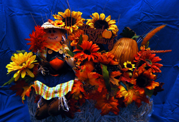 秋天的花图片下载