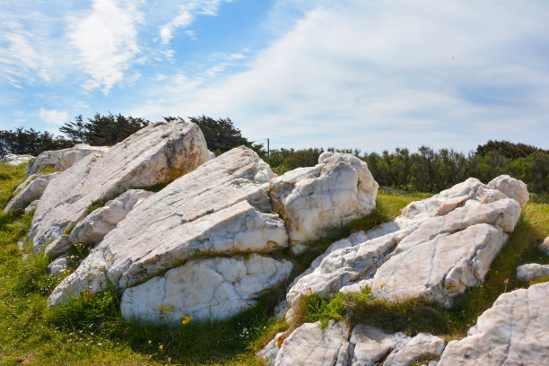 白色天然大理石图片下载