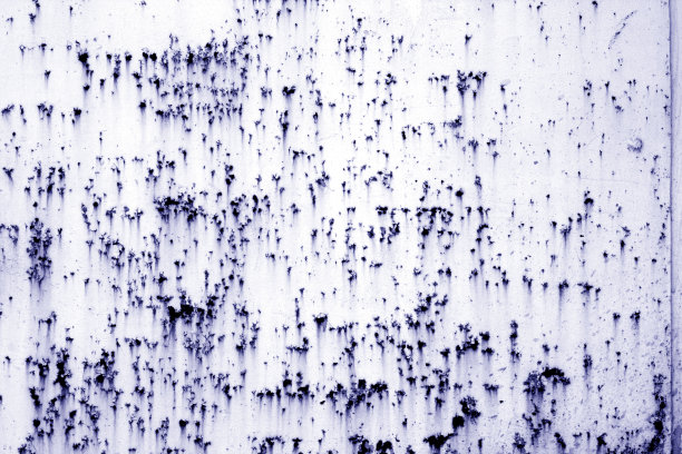 蓝色调的生锈金属表面。图片下载