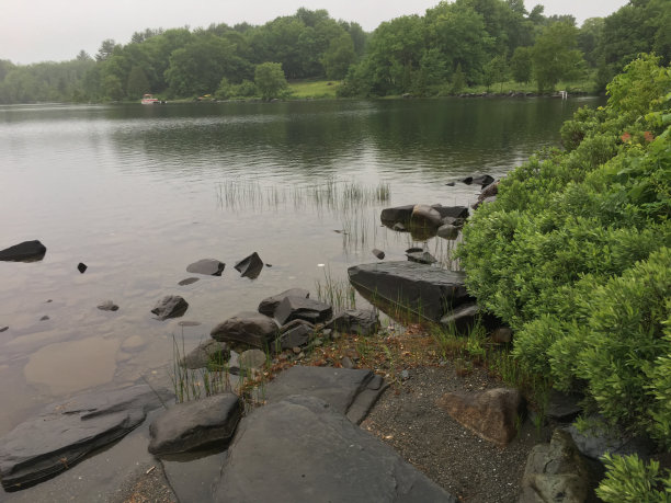 雨天在湖边图片下载