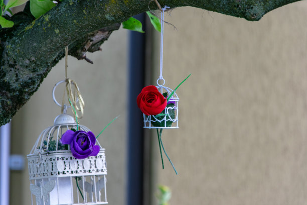 小笼子里图片下载