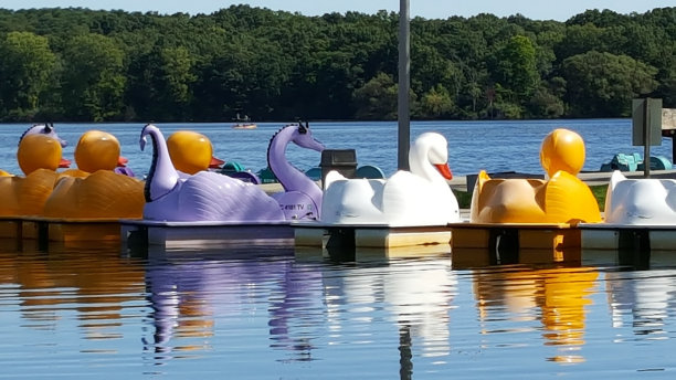 卡通湖图片下载