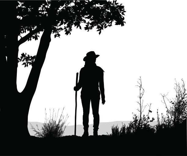 远眺森林图片下载