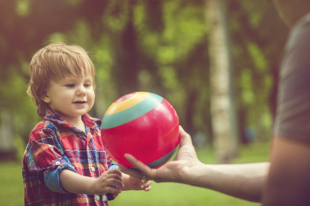 夏天，爸爸和他的小儿子在公园里玩球图片下载