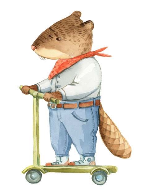 穿衬衫和牛仔裤的海狸正在驾驶电动扳手素材图片