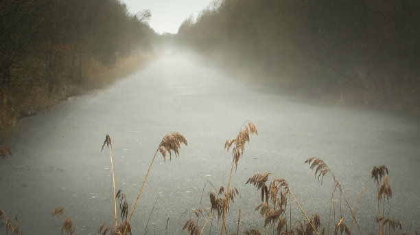 荷兰城市性质图片下载