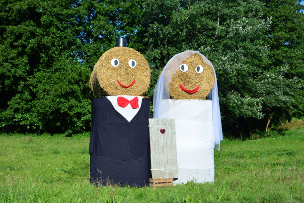 新郎新娘站在绿色的草地上图片下载