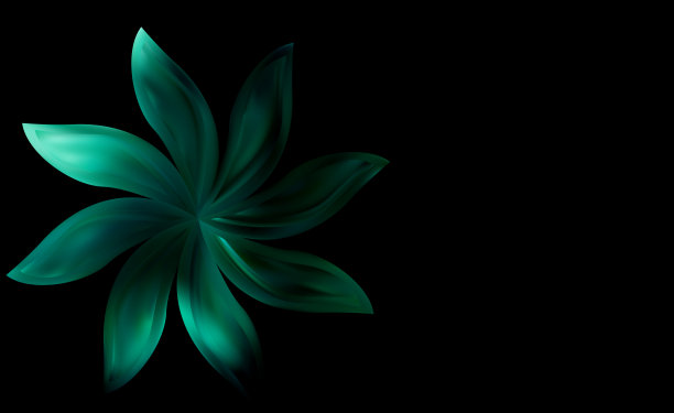 娇嫩的粉红玫瑰上一抹模糊。情人节。图片下载