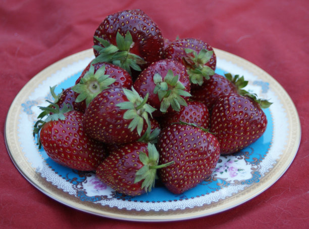 瓷盘上新鲜采摘的草莓吸引着你一口咬下去图片下载