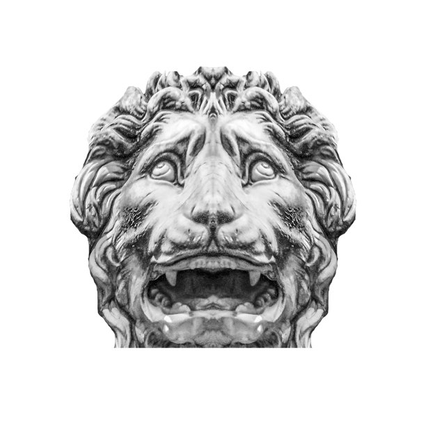 美第奇·莱昂在意大利佛罗伦萨夫人的旅馆图片下载