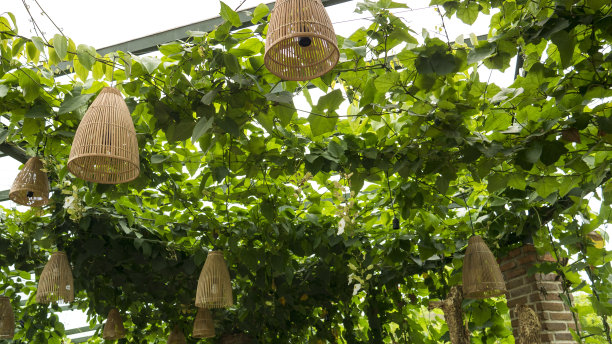 花园灯装饰图片下载