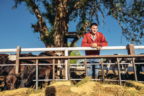 年轻的奶农图片下载