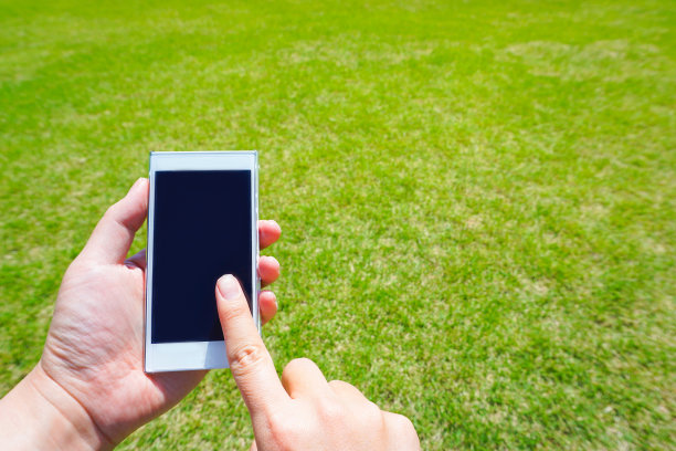 在自家花园或公园使用智能手机拍摄的图片。图片下载