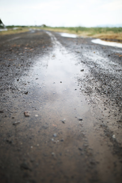 在乡村泥土路上的水坑里沉思图片下载