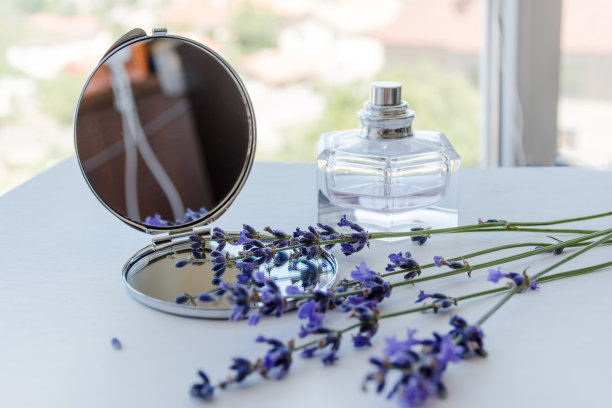 薰衣草静物画图片下载