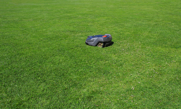 夏季绿色草坪用自动割草机割草图片下载