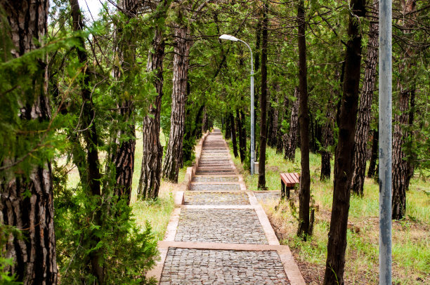 这条路通向远方图片下载