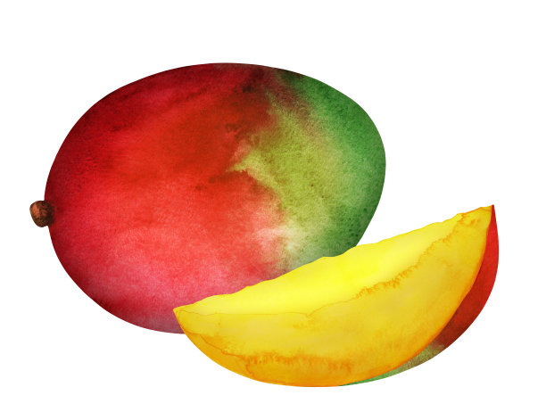 水彩新鲜芒果水果图片下载