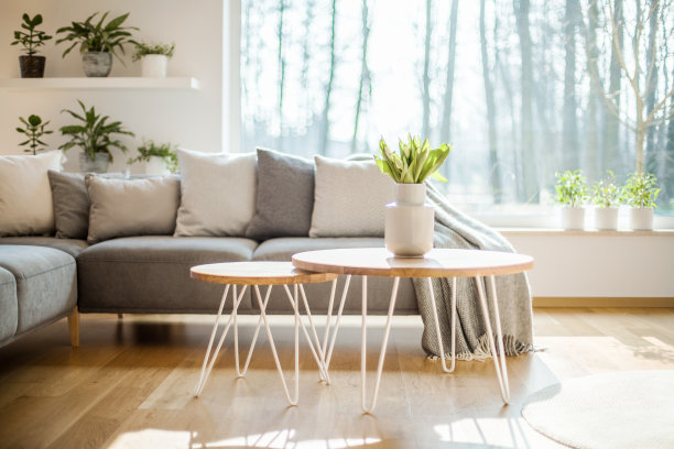 明亮的客厅里摆放着几张发夹式桌子，花瓶里插着新鲜的郁金香，还有大窗户、盆栽和灰色的角落休息室图片下载