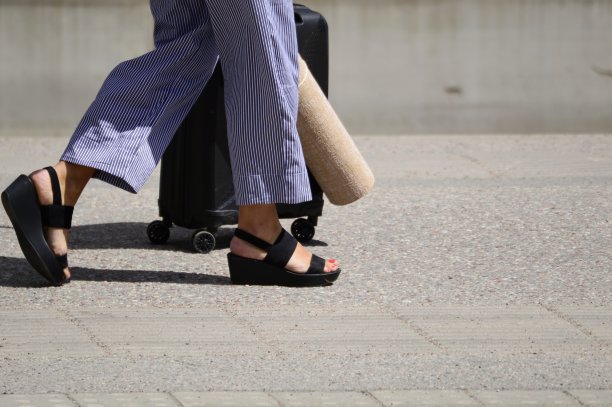 旅行者图片下载